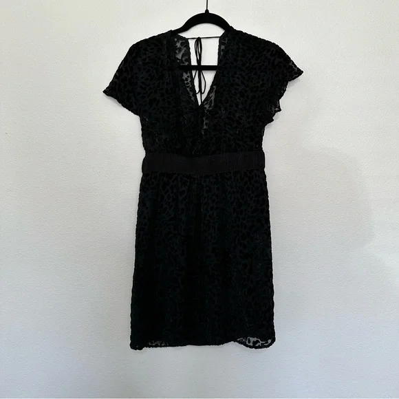 Frock! By Tracy reese women’s black velvet sheer leopard print dress size small - Picture 1 of 4